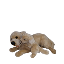 Peluche Perro Golden Retriever Con Cachorro